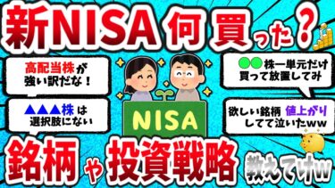 【2ch有益スレ】新NISAで何買った？銘柄や投資戦略について教えてくれww【2chお金スレ】