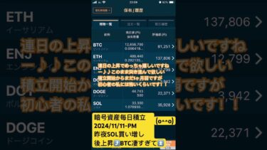 暗号資産毎日積立記録 2024/11/11 #shorts #仮想通貨 #暗号資産