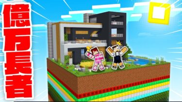 全てを持っている億万長者になってスカイブロックやってみた結果ｗｗ