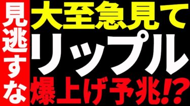 ⚠️大至急見て⚠️リップル（XRP）大きく動く予兆あり⁉今後の最新分析を共有！【仮想通貨】
