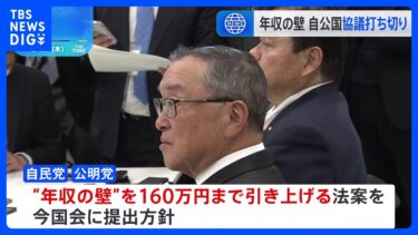 「年収の壁」を160万円まで引き上げる法案、与党だけで提出する方針　自民・公明・国民民主3党の協議は打ち切りとなる見通し｜TBS NEWS DIG
