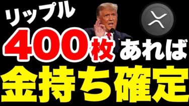 リップル400枚保有でお金持ち確定。【ビットコイン リップル XRP 仮想通貨 暗号通貨】