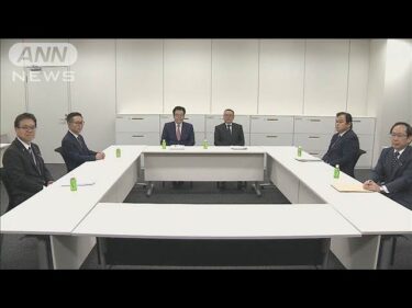 「年収の壁」で自民公明が新提案　年収850万円まで対象拡大　控除額4段階(2025年2月21日)