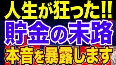 【閲覧注意】本気で貯金したら人生のレールが壊れかけてます【NISA・貯金・節約・セミリタイア・FIRE】