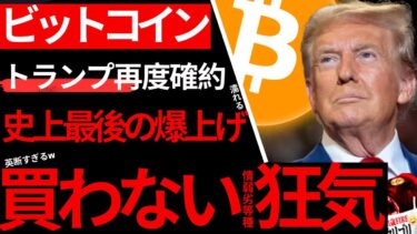 【二度とない】ビットコイン、今が人類史上最大の買い時。気づかない情弱ローT男は淘汰された1900年代の馬車の運ちゃんと同じ二の舞