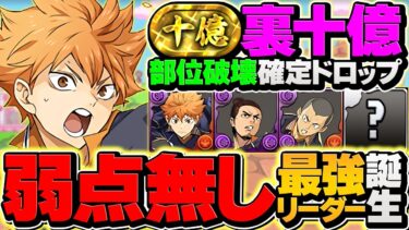 【部位確定ドロップ】弱点など存在しない!!日向影山で裏十億チャレンジを周回！環境1位確定しました！【パズドラ】