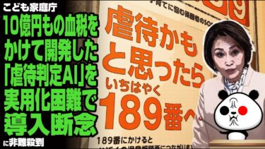 【電通・中抜き・責任問題】こども家庭庁 10億円の税金をかけて開発した「虐待判定AI」を実用化困難で導入断念に非難殺到