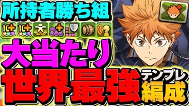 【環境1位】日向×影山の最強テンプレ編成がチートでした！1撃2400億火力で全てをぶっ壊す！！【パズドラ】