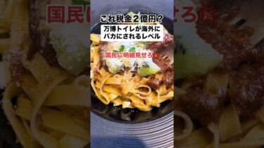 「これが2億円…」 万博トイレが酷すぎる