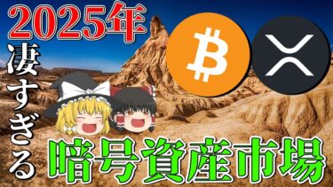 【未来は明るい】2025年の暗号資産市場動向が凄すぎた。