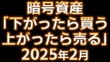 【2025年2月】暗号資産「下がったら買う、上がったら売る」【取引実績】