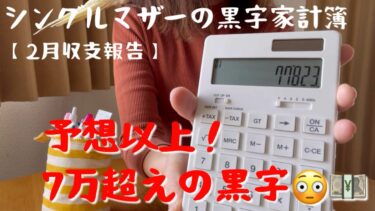 【シングルマザーの家計簿】2月収支報告！|貯金額約8万😳一円単位でフルタイムシンママ収支公開💴