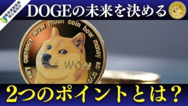 暗号資産初心者必見！ドージコインの未来を決める2つのポイントとは？DOGEの未来を左右する「クジラ」と「SEC」の動きとは？