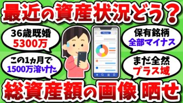 【2chお金スレ】下落気味だけど総資産の状況を見せ合おうぜ。画像挙げれる人だけで頼む【2ch有益スレ】