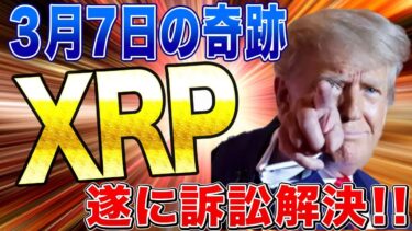 リップル保有者歓喜！！3月にSECの問題が解決される重大会議があります！！！！
