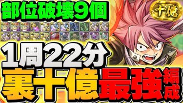 【部位破壊9】裏十億チャレンジをナツで周回！1cで発狂受けれます！最速22分の快適編成！【パズドラ】
