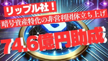 リップル社、暗号資産特化の非営利団体「NCA」立ち上げに50Mドル助成