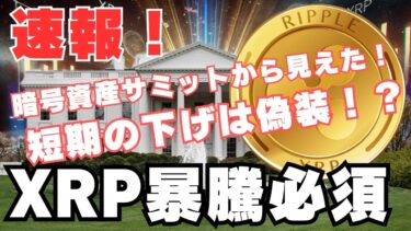【速報】短期の下げは偽装か？暗号資産サミット後の“隠された計画”がヤバすぎる。XRPに神展開！？