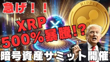 【急げ！】XRPが500%急上昇！？暗号資産サミットの奇跡！