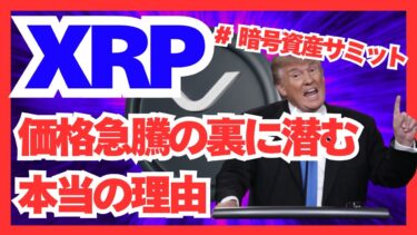 【最新！！】「XRPと暗号資産サミットの深い関係！世界が注目する理由を徹底解説」【公式LINEで無料プレゼント実施中】