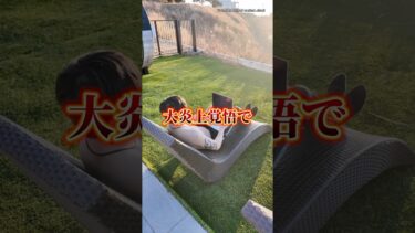 【ディズニー無料で行く裏技】#お金#貯金#投資#資産運用#家計管理#節約#shorts