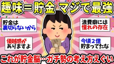 【貯金が趣味】貯金ガチ勢がやばすぎた！貯金体質の人あつまれー！【ガルちゃん雑談】