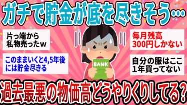 【有益】毎月貯金切り崩してついに底をつきそう…みんか過去最悪の物価高どうしてる？【ガルちゃん】
